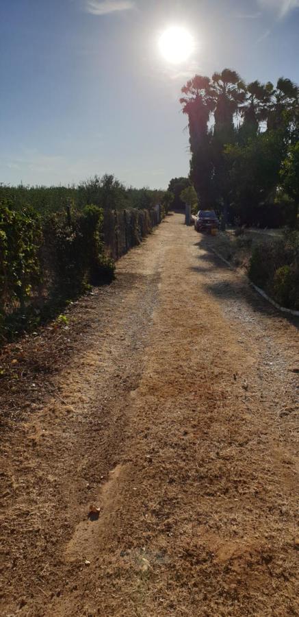 Finca-Vallestares 알몬테 외부 사진